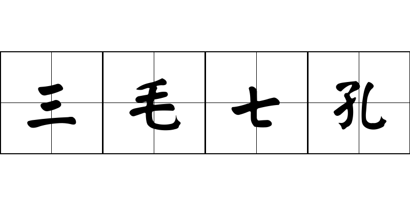 三毛七孔