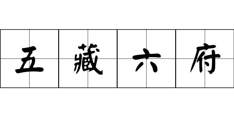 五藏六府