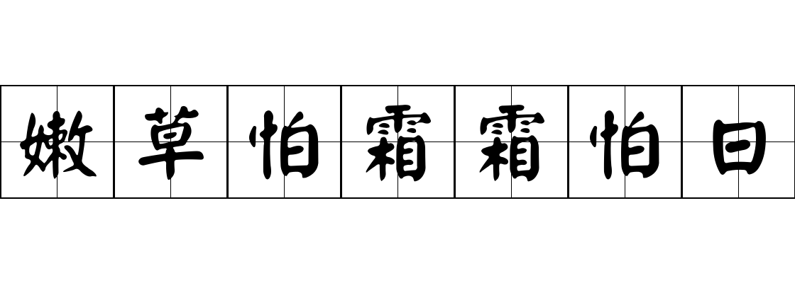 嫩草怕霜霜怕日