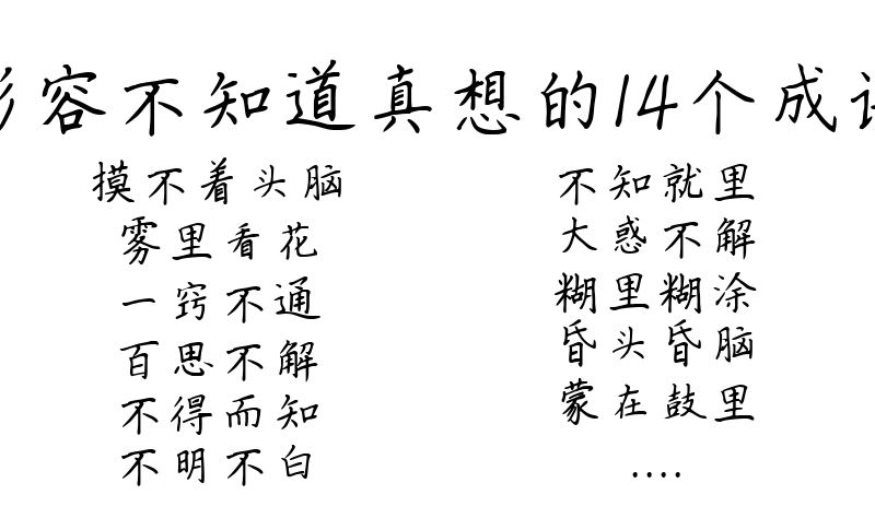 形容不知道真想的14个成语