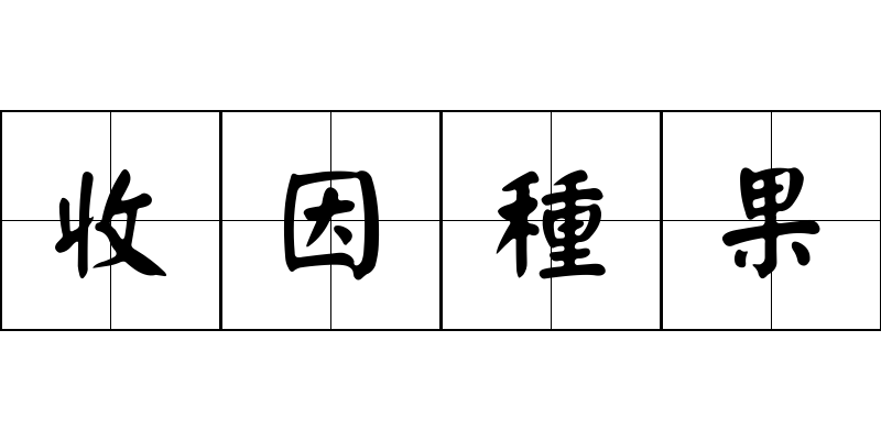 收因種果